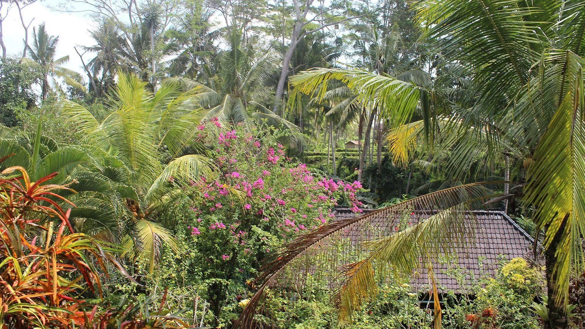 Gusti'S Garden Bungalows Ubud  Ubud (Bali)