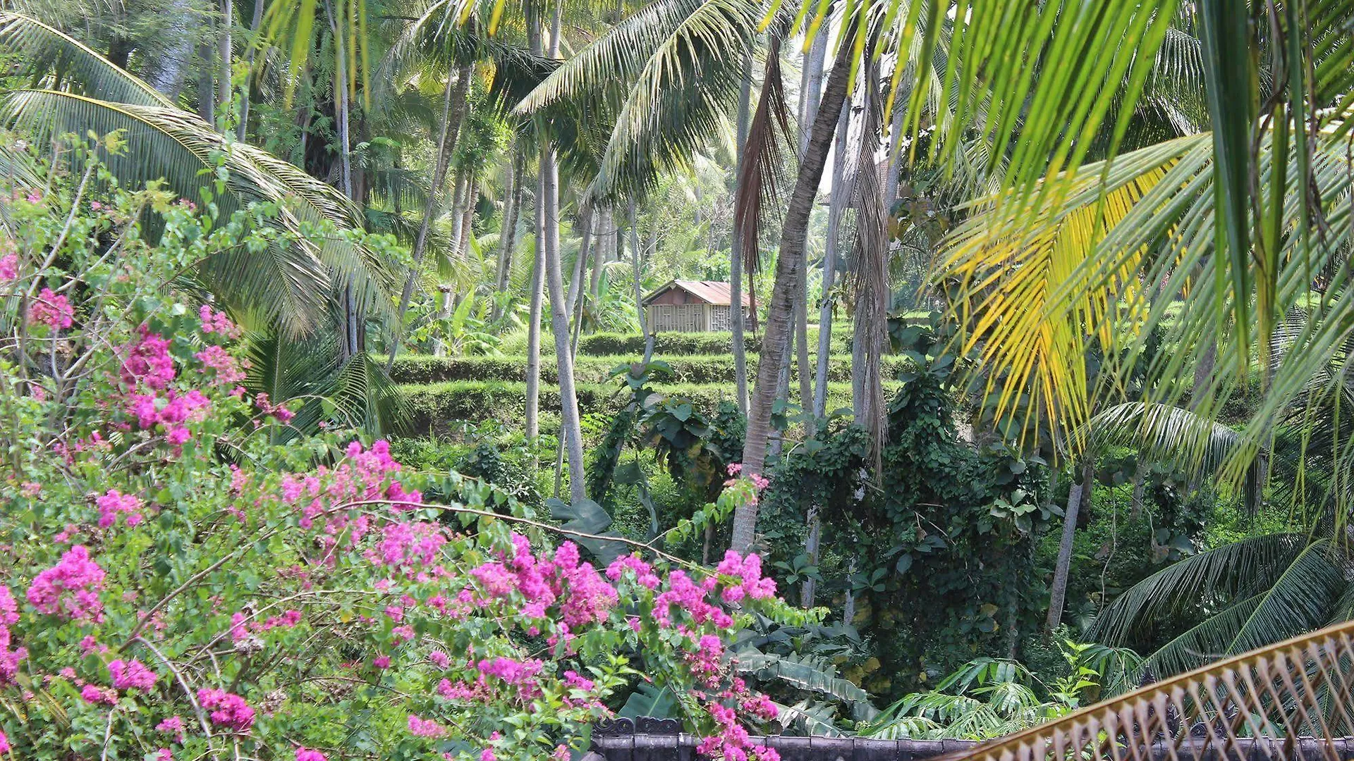 Gusti'S Garden Bungalows Ubud  Guest house Ubud (Bali)